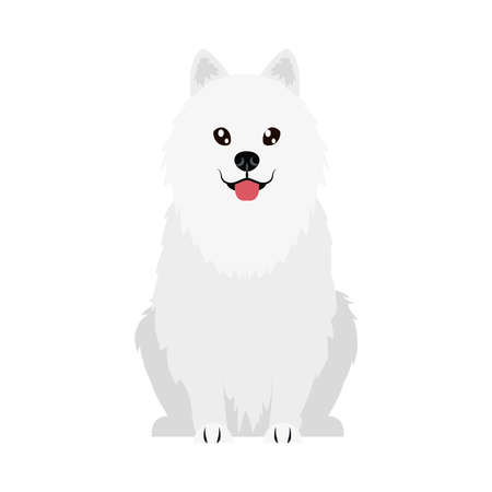 cartoon maltese dog icon over white background, flat style, vector illustrationのイラスト素材