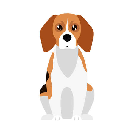cartoon beagle dog icon over white background, flat style, vector illustrationのイラスト素材