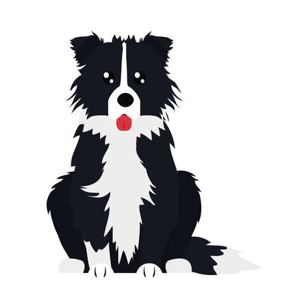 border collie dog icon over white background, flat style, vector illustrationのイラスト素材