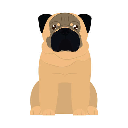pug dog icon over white background, flat style, vector illustrationのイラスト素材