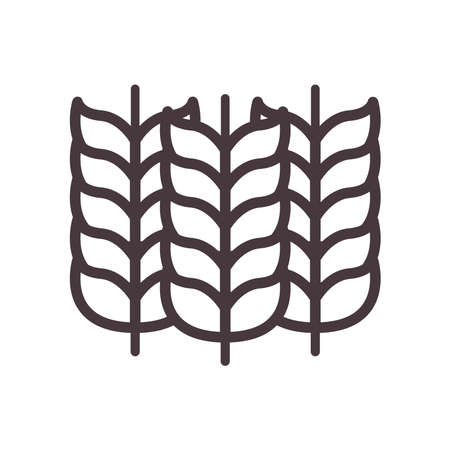 Wheat ears line style icon design, Food grain agriculture natural seed plant organic and corn theme Vector illustrationのイラスト素材