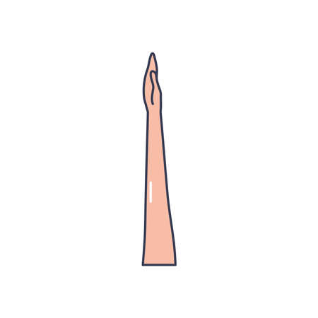 human body concept, arm up icon over white background, line fill style, vector illustrationのイラスト素材