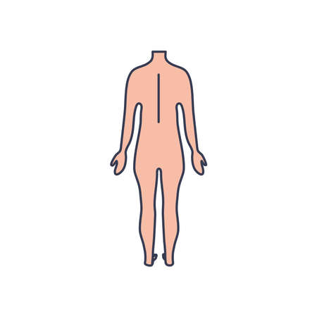 back human body icon over white background, line fill style, vector illustrationのイラスト素材