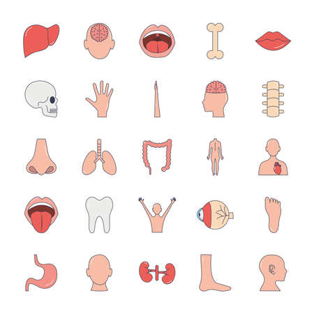 nose and human body parts icon set over white background, line fill style, vector illustrationのイラスト素材