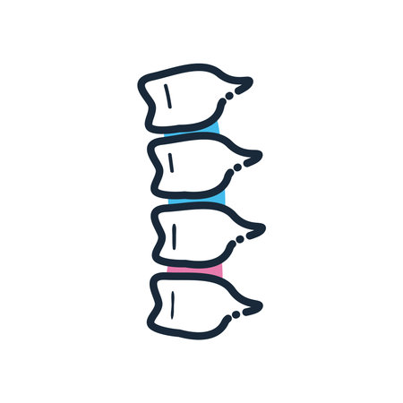 curved human spine bone line and fill style icon of Handicapped disability and medical theme Vector illustrationのイラスト素材