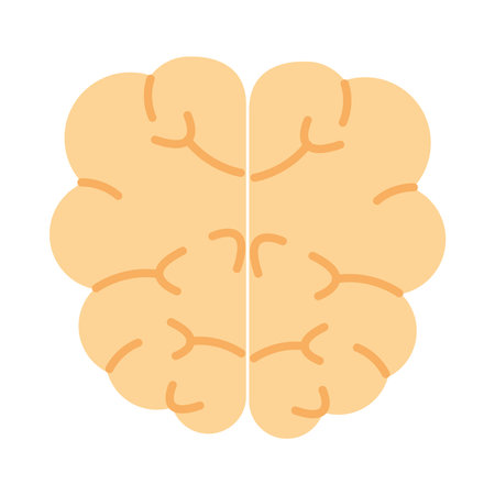 human brain icon over white background, flat style, vector illustration