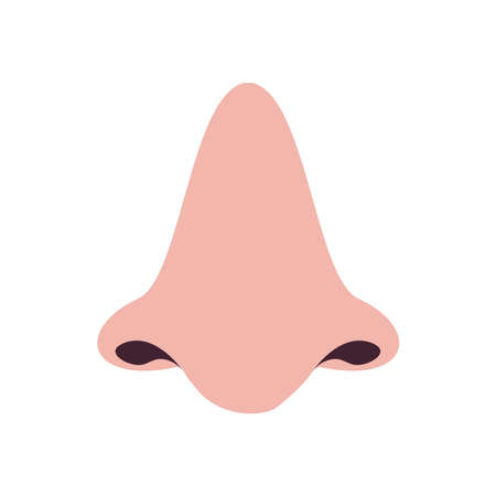 nose free form style icon design, Human body person people health anatomy biology and science theme Vector illustrationのイラスト素材