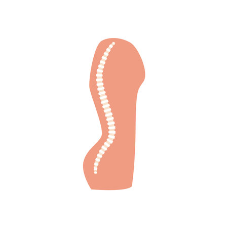 spine free form style icon design, Human body person people health anatomy biology and science theme...