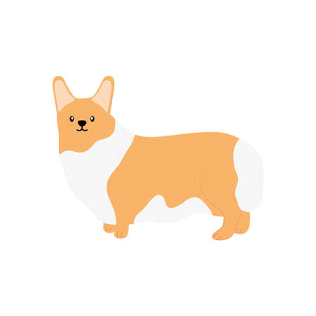 cartoon bulldog icon over white background, flat style, vector illustrationのイラスト素材