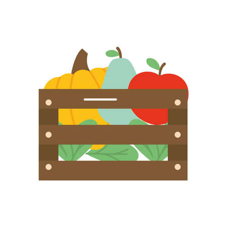 wooden box with fruits and pumpkin over white background, flat style, vector illustrationのイラスト素材