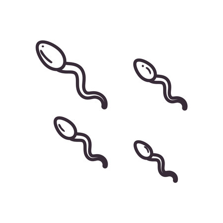 sperm line style icon design, Sexual health protection and prevention theme Vector illustration