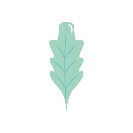 autumn oak leaf icon over white background, flat style, vector illustrationのイラスト素材