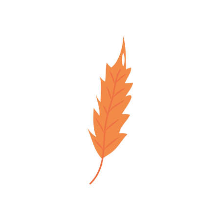 autumn sumac leaf icon over white background, flat style, vector illustrationのイラスト素材