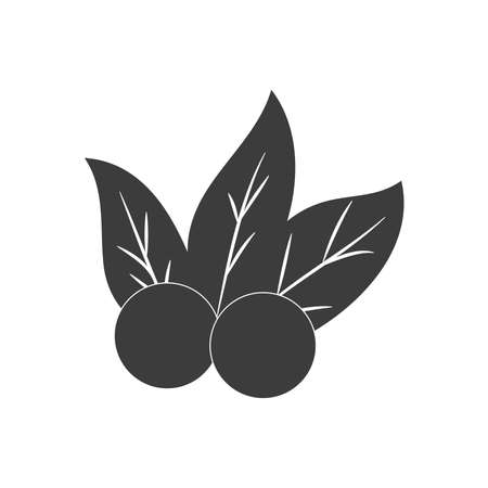 holy berry icon over white background, silhouette style, vector illustrationのイラスト素材