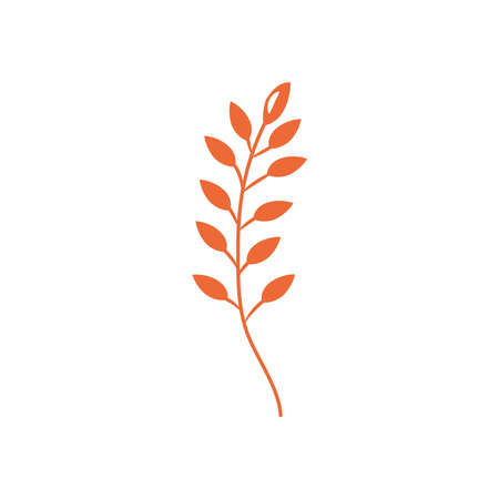 rowan leaf icon over white background, flat style, vector illustrationのイラスト素材