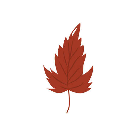red maple leaf icon over white background, flat style, vector illustrationのイラスト素材