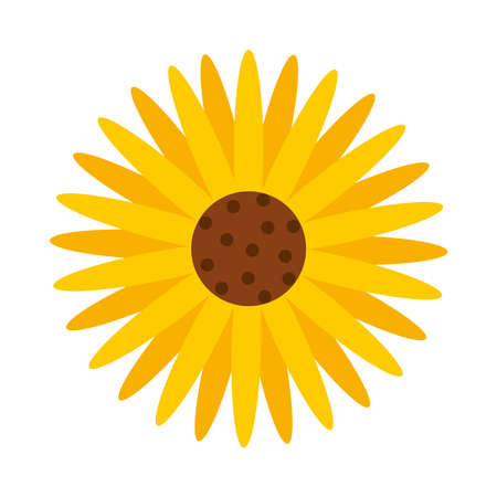 sunflower icon over white background, flat style, vector illustrationのイラスト素材