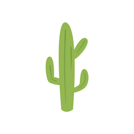 Cactus free form style icon design, Plant desert nature tropical summer mexico and western theme Vector illustrationのイラスト素材
