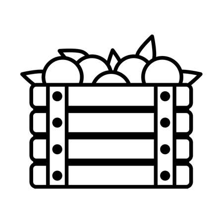 wooden box with fruits icon over white background, line style, vector illustrationのイラスト素材