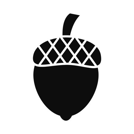 acorn icon over white background, silhouette style, vector illustrationのイラスト素材