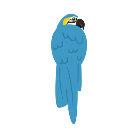 cute parrot animal on white background vector illustration designのイラスト素材