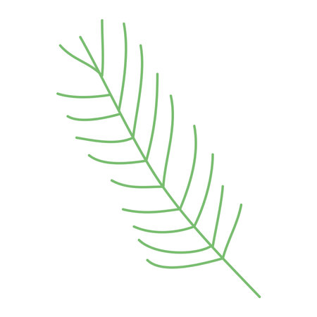 pines leaf design of Natural floral and plant theme Vector illustrationのイラスト素材