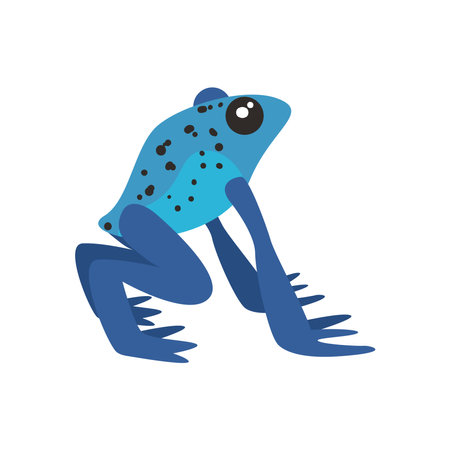 blue poison dart frog on white background vector illustration designのイラスト素材