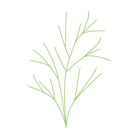 leaf design of Natural floral and plant theme Vector illustrationのイラスト素材