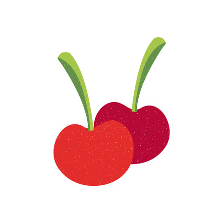 cherry fruit design of healthy organic food theme Vector illustration