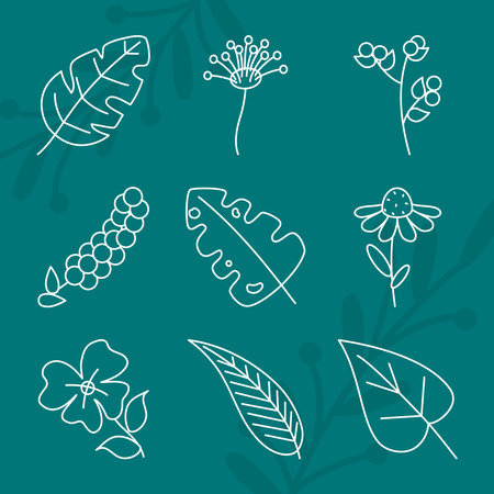 leaves and tropical leaves icon set over turquoise background, line style, vector illustrationのイラスト素材