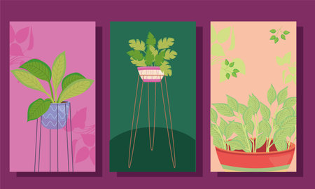 three plants inside pots in labels design of Floral nature garden and ornament theme Vector illustrationのイラスト素材