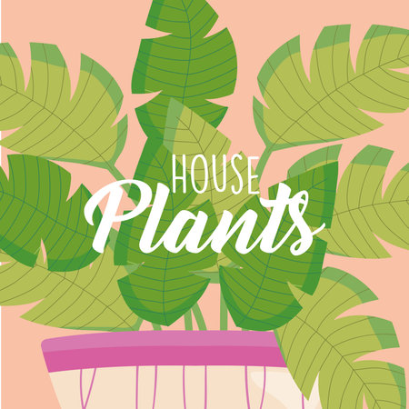 house plants text in front of plant inside purple pot design of Floral nature garden and ornament theme Vector illustrationのイラスト素材