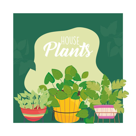 house plants inside brown yellow and purple pots design of Floral nature garden and ornament theme Vector illustrationのイラスト素材