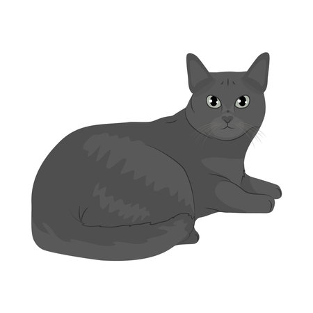 cartoon russian blue cat icon over white background, colorful design, vector illustrationのイラスト素材