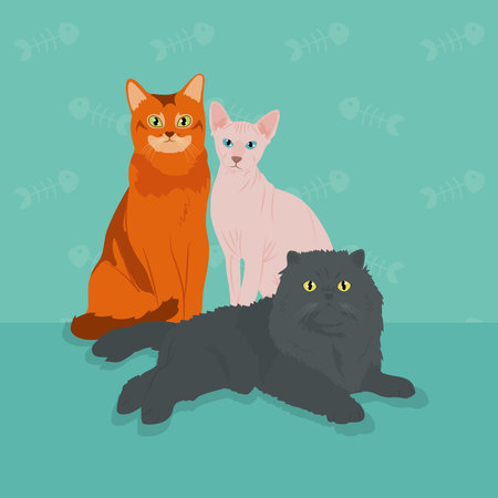 beautiful design of cartoon cats over turquoise background, colorful design, vector illustrationのイラスト素材