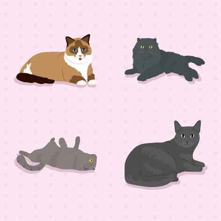 cute cats icon set over pink background, colorful design, vector illustrationのイラスト素材