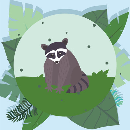 raccoon with jungle leaves design, Animal zoo and life theme Vector illustrationのイラスト素材