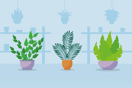 three indoor plants in a pots over blue background, colorful design, vector illustrationのイラスト素材
