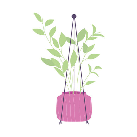 hanger plant in a purple pot over white background, colorful design, vector illustrationのイラスト素材