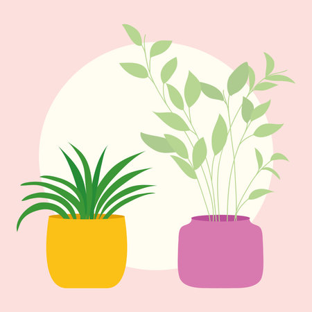 houseplants in a colorful pots over pink background, vector illustrationのイラスト素材