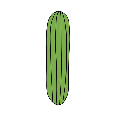 cucumber vegetable icon over white background, flat style, vector illustrationのイラスト素材