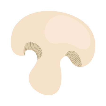 mushroom icon over white background, colorful design, vector illustrationのイラスト素材