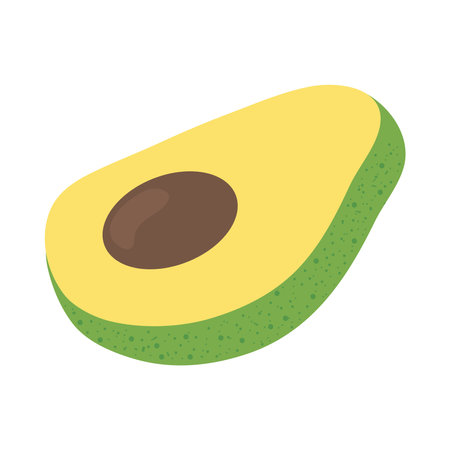 avocado slice icon over white background, colorful design, vector illustrationのイラスト素材