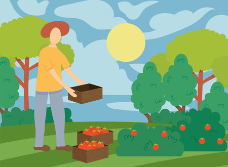 Farmer with box and tomatoes plant design, Agronomy lifestyle agriculture harvest and farming theme Vector illustrationのイラスト素材
