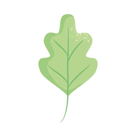 green leaf icon over white background, colorful design, vector illustrationのイラスト素材