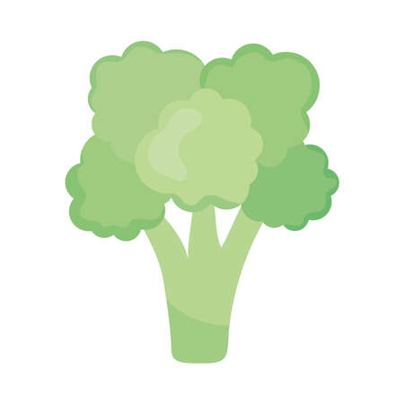 broccoli vegetable icon over white background, colorful design, vector illustrationのイラスト素材