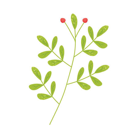 branch with leaves icon over white background, colorful design, vector illustrationのイラスト素材