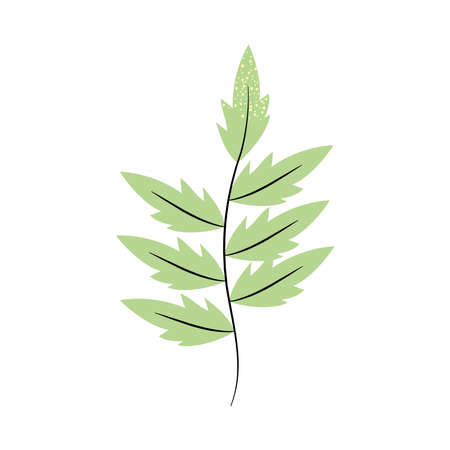 stem with green leaves over white background, colorful design, vector illustrationのイラスト素材