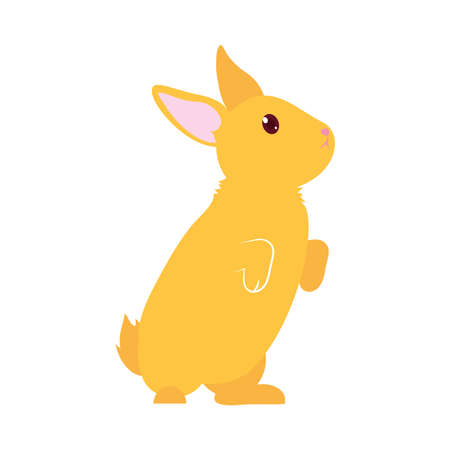 cute yellow rabbit over white background, colorful design, vector illustrationのイラスト素材