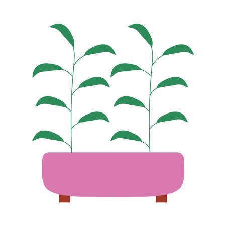 plant in a pink potのイラスト素材